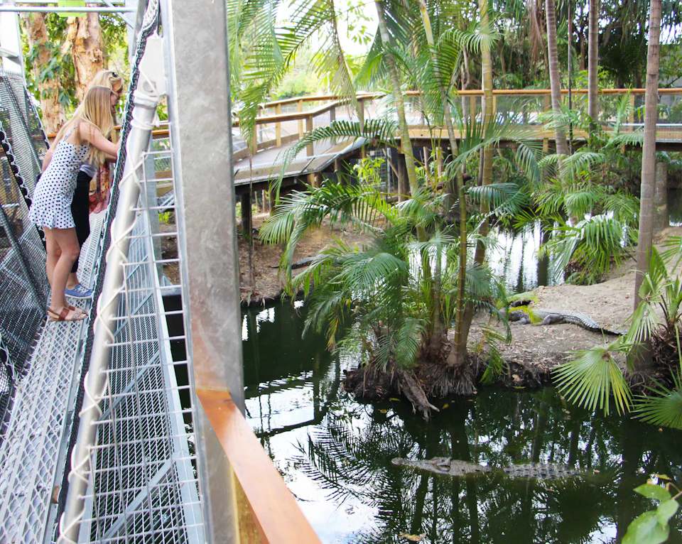 People standing on a metal walkway overlooking a lush, tropical pond with palm trees and wooden bridges.