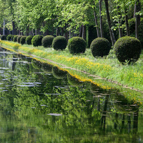 Château de Chantilly: Entrada somente para os jardins - Photo 4