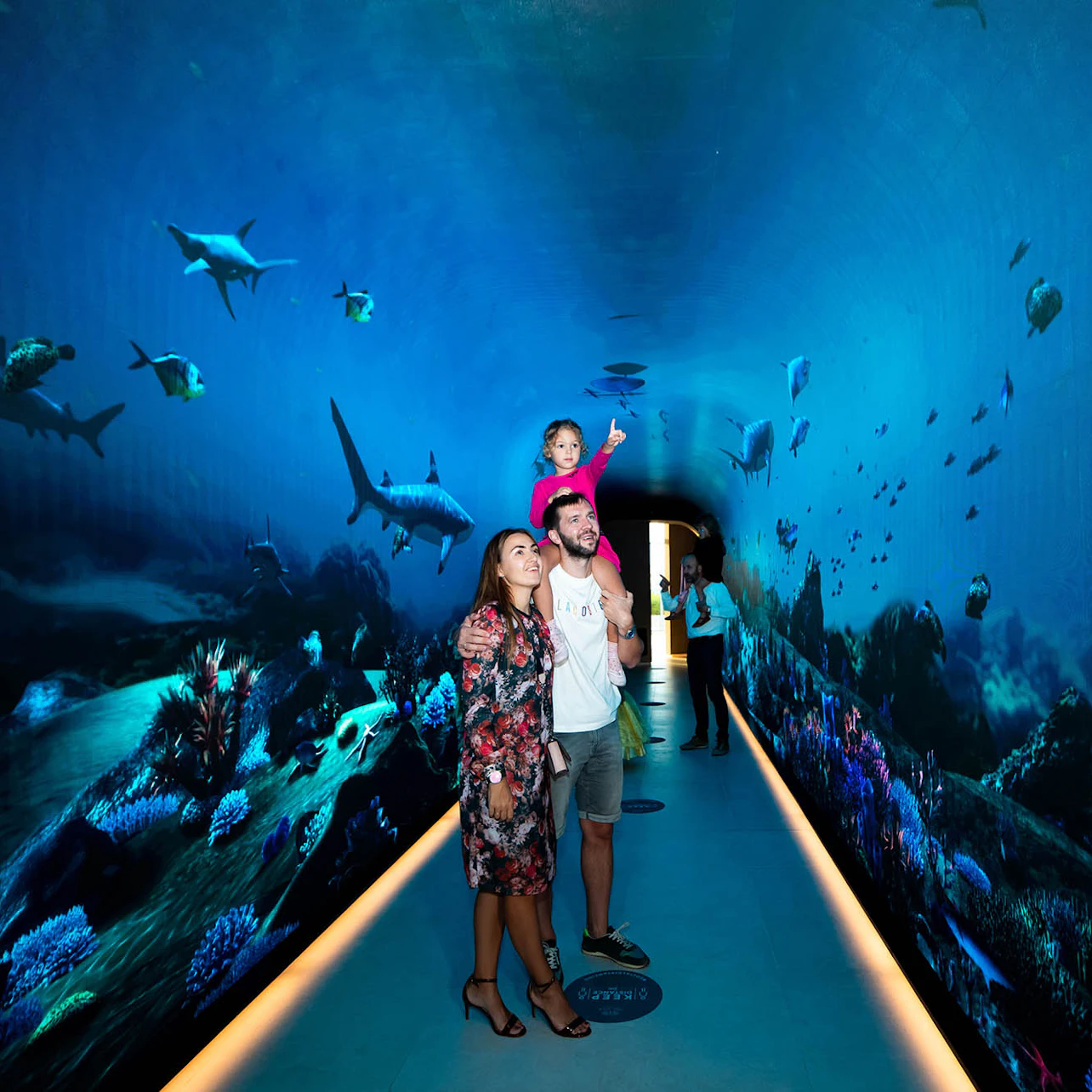 The View at The Palm: The View Level 52 in Dubai β Tiqets