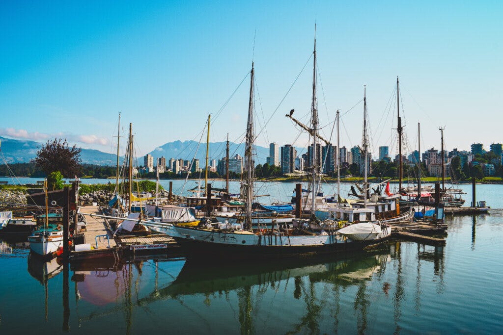 Sailboats docked in a marina with a city skyline and mountains in the background on a clear day.