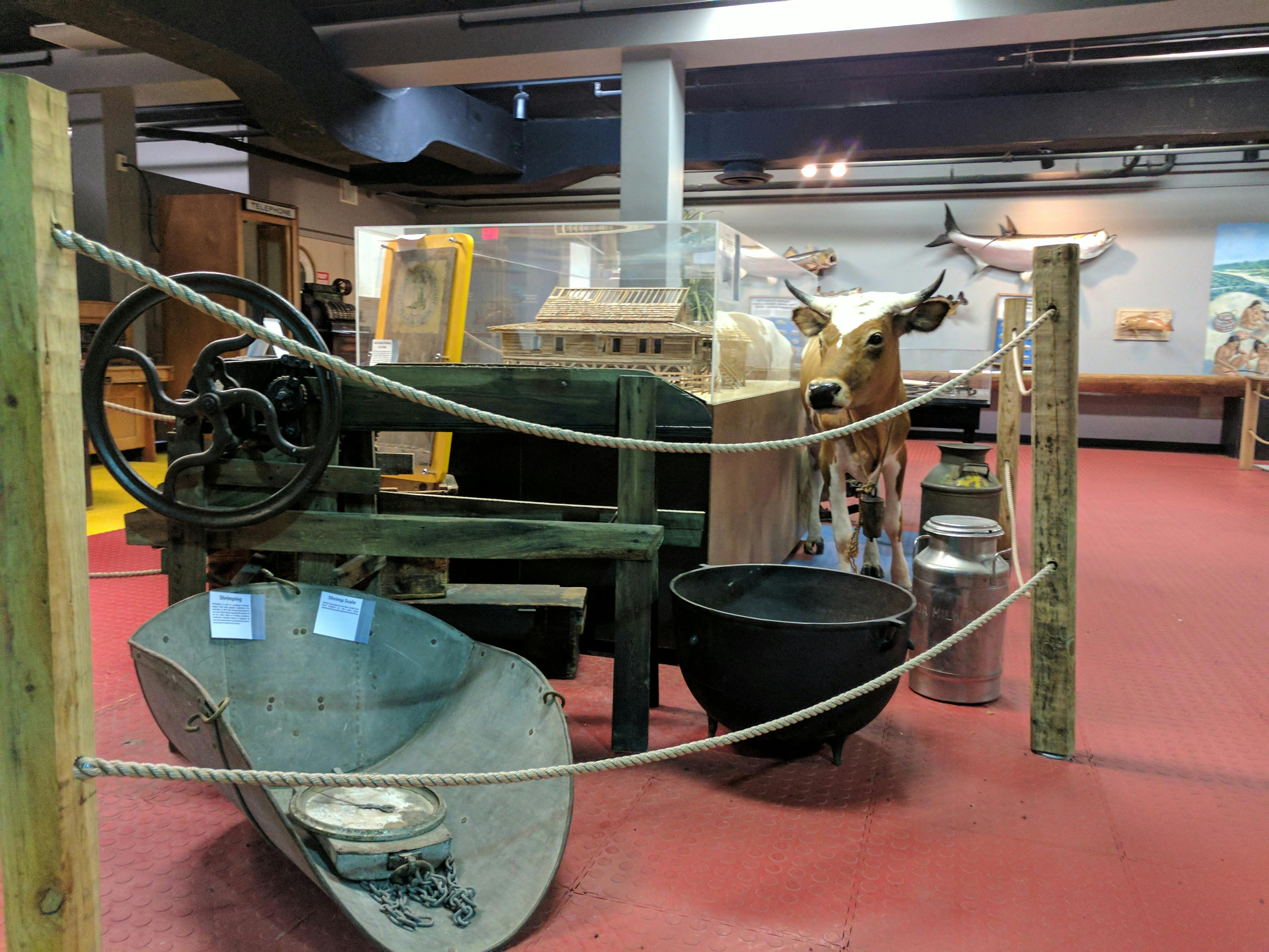 Εσωτερική έκθεση γεωργικού εξοπλισμού με αγελάδα, μεγάλο δοχείο, δοχείο γάλακτος και ξύλινα μηχανήματα, που περιβάλλεται από σχοινιά σε κόκκινο πάτωμα.