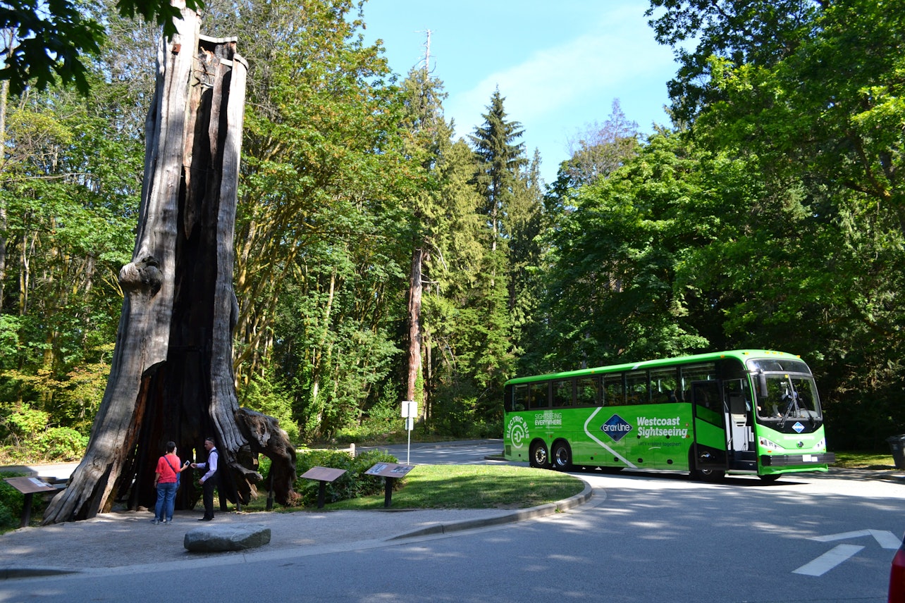 Tour della città di Vancouver & Ponte sospeso di Capilano - Alloggi in Vancouver