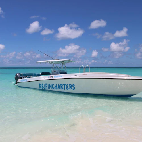 Bahamas: Boat Adventure with Swimming Pigs, Turtles & Snorkeling - Photo 7
