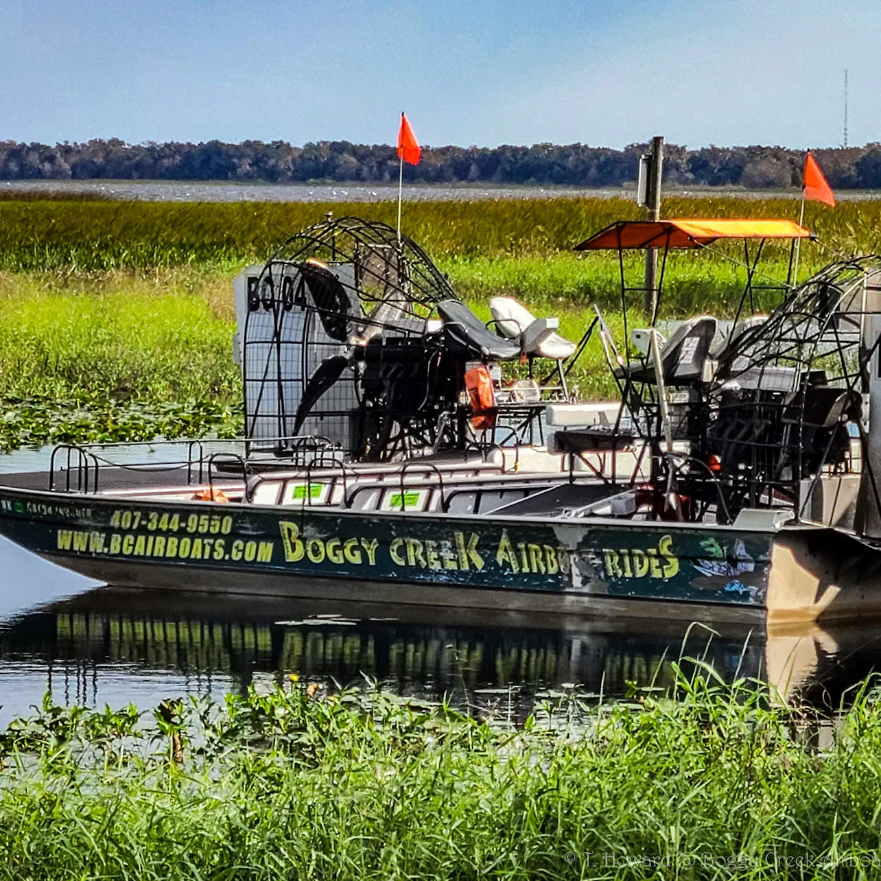 Kissimmee: 1-Hr Boggy Creek Everglades Airboat Tour in Kissimmee β Tiqets