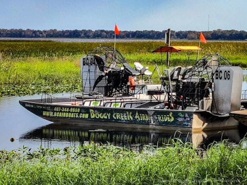 Everglades: 1-Hour Boggy Creek Airboat Tour at Southport Park