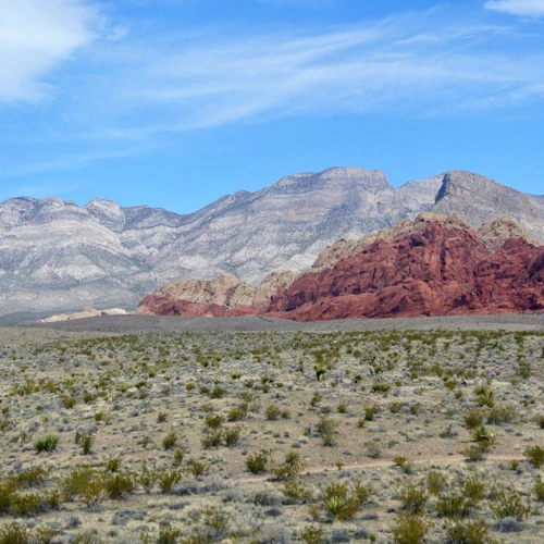 Red Rock Canyon: Passeio de carro autoguiado - Photo 14