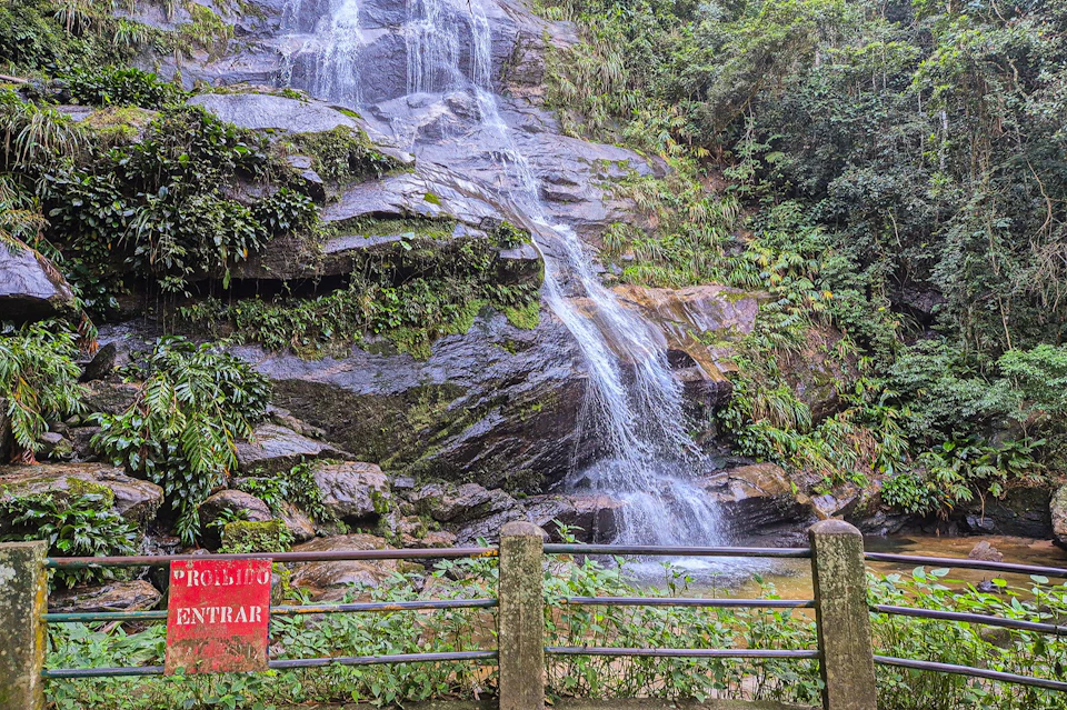 Rainforest Jeep Tour