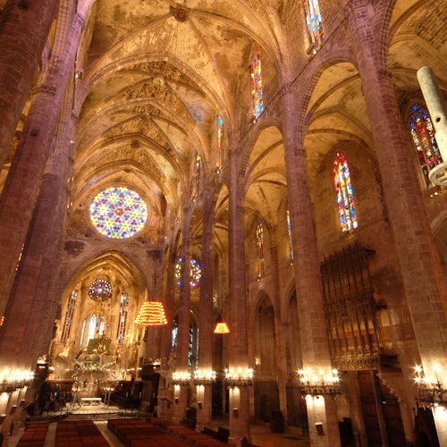 Catedral de Mallorca: Sin colas