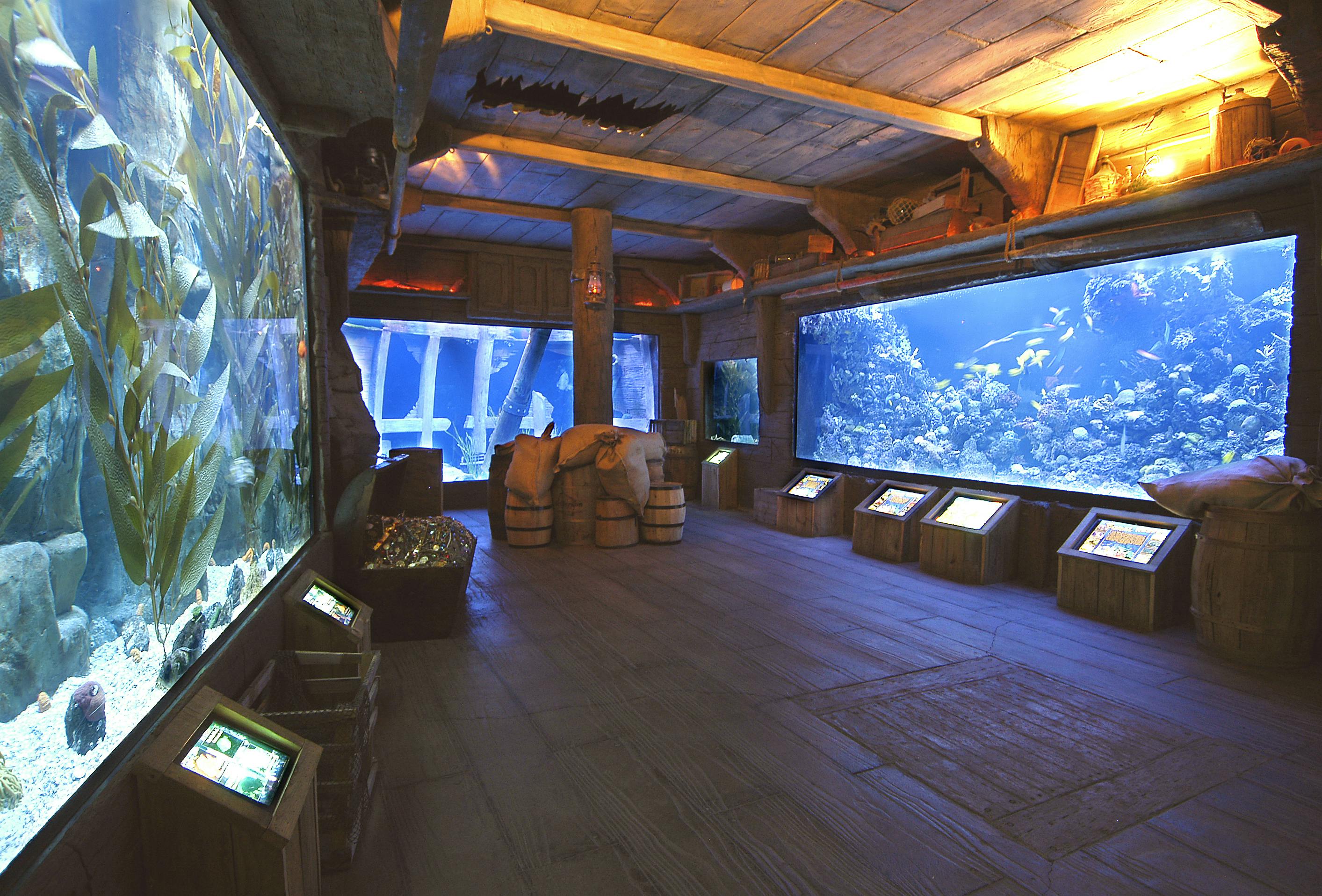 Afbeelding van aquaria in Downtown Aquarium Houston