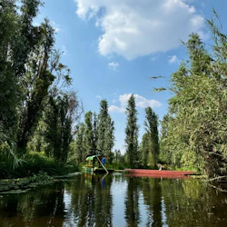Xochimilco: Boat Tour + Roundtrip Transport 4