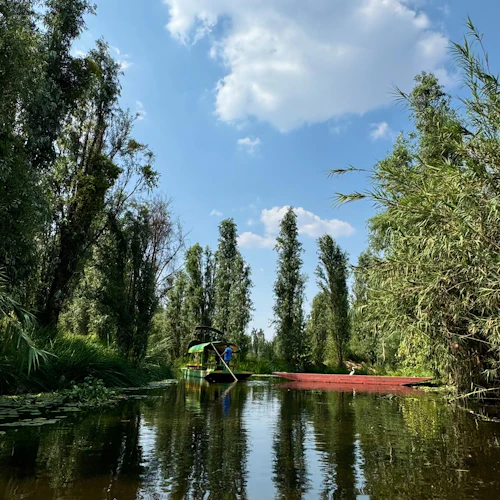Visitas guiadas a Xochimilco: tour de barco + transporte de ida e volta - Photo 4