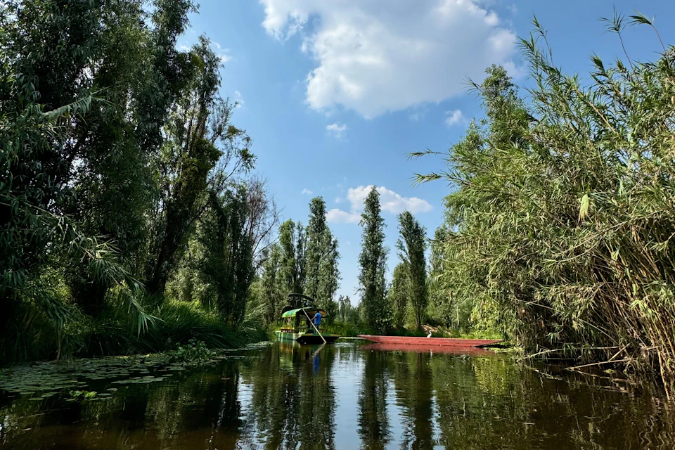 Xochimilco Canals
