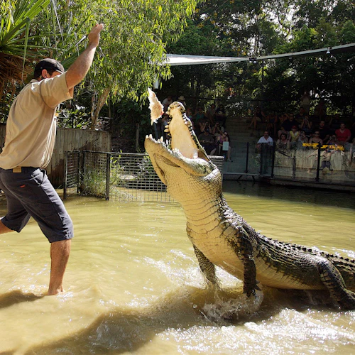 Hartley's Crocodile Adventures: Entry Ticket