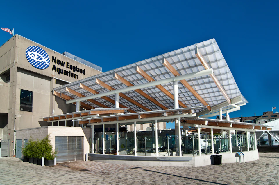 Glass entrance of the New England Aquarium with a large, modern canopy structure and clear blue sky overhead.