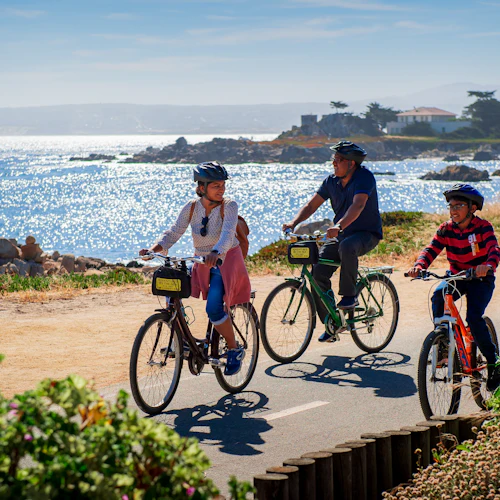 From San Francisco: Full Day Monterey and Carmel Tour - Photo 8