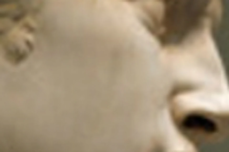 Marble statue of a man with curly hair, gazing to the side, holding an object over his shoulder. The background is neutral.