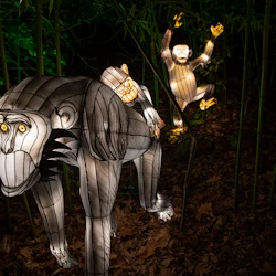 Bronx Zoo: Holiday Lights Tickets 2