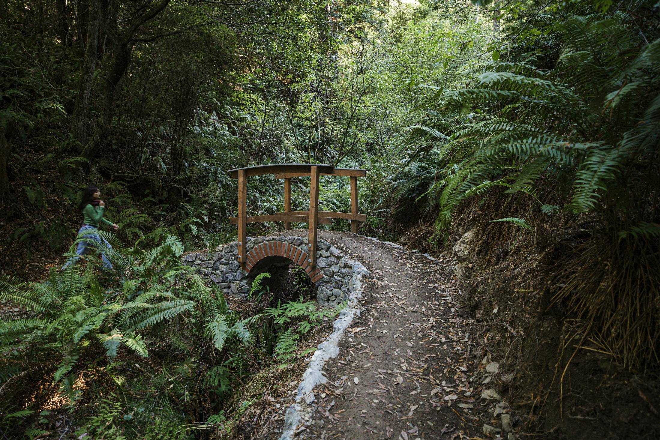 Skunk Train Pudding Creek Express