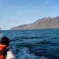 Varen in de fjord op zoek naar walvissen en wilde dieren