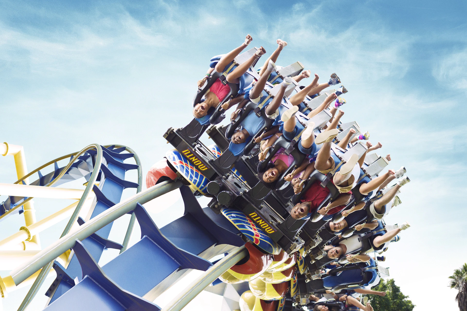 Busch Gardens Tampa Bay