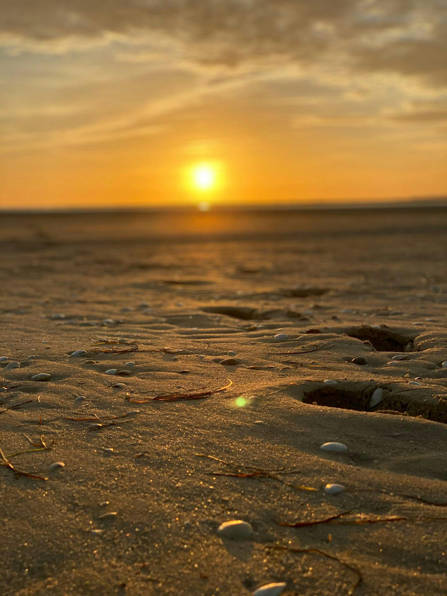 Закат над песчаным пляжем с маленькими ракушками, разбросанными по поверхности, под золотым небом.
