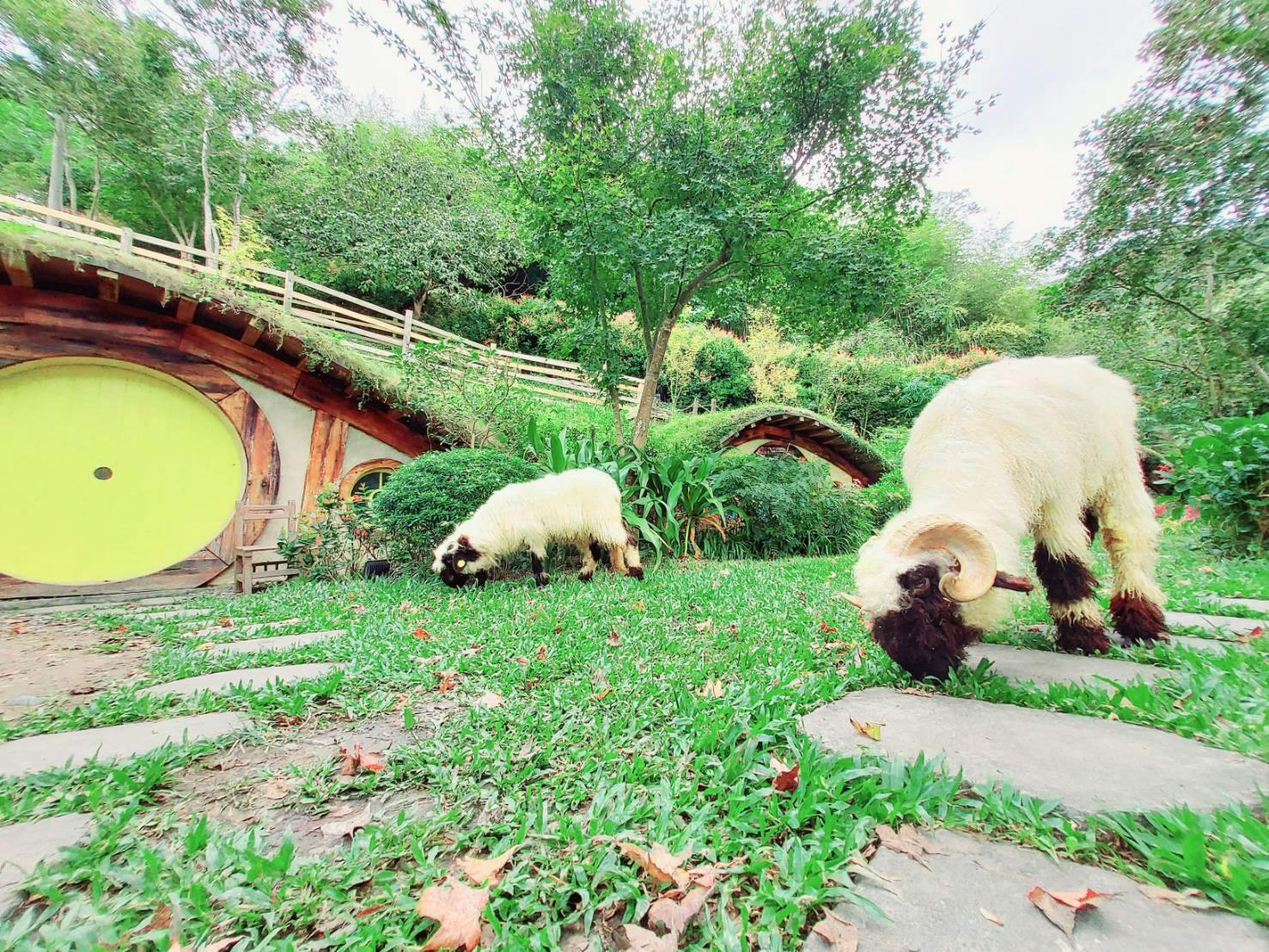Two sheep grazing on grass in front of a house with round green doors, surrounded by lush greenery and trees.