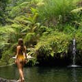 Selva de la piscina d'Ubud
