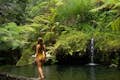 Ubud Pool Dschungel