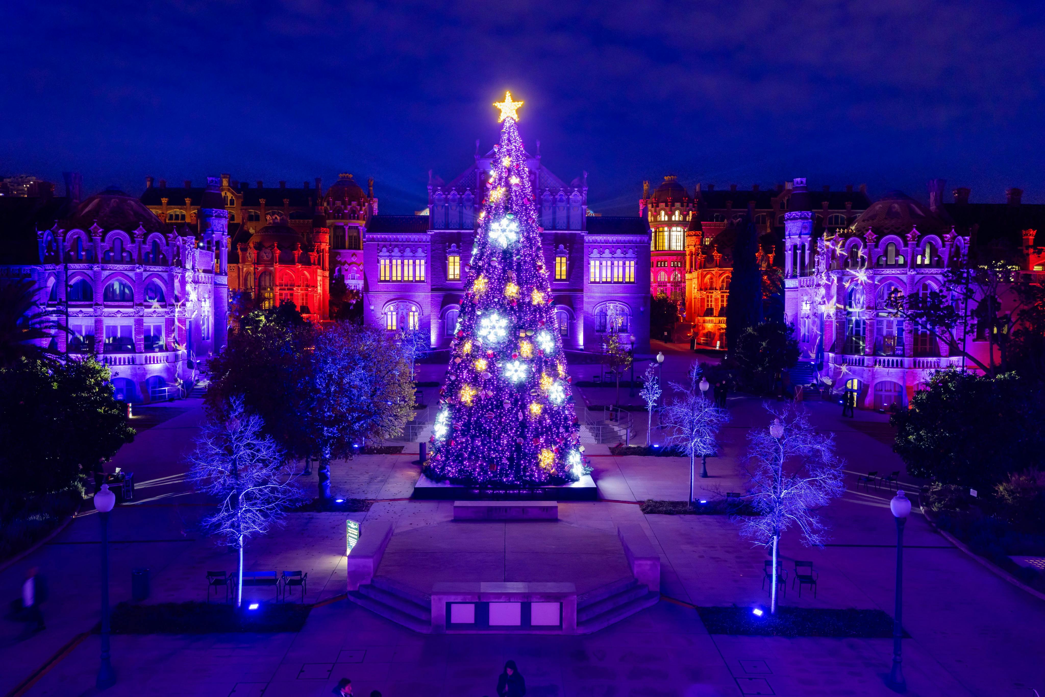 Tall Christmas tree with lights and ornaments in a plaza, surrounded by illuminated buildings and trees at night.