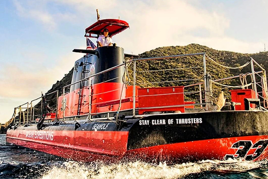 Catalina Island: Day Trip with Undersea Sub Expedition