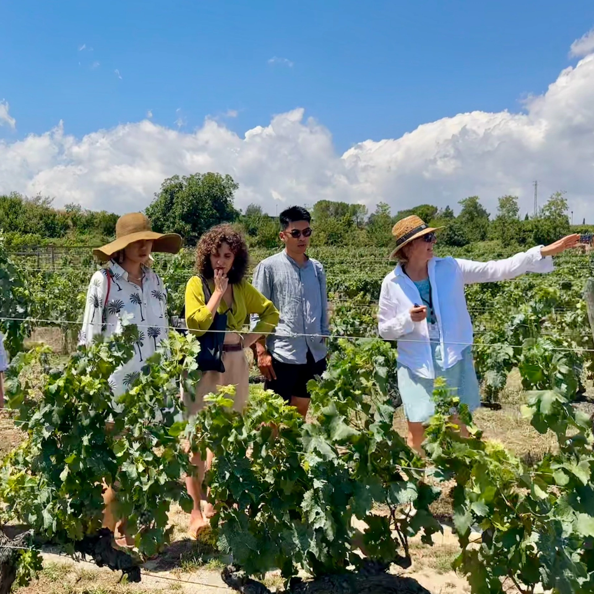 Penedès: Visita guiada de mig dia des de Barcelona + Brunch + Tast de vins