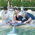 Miami Seaquarium Seznamte se s delfínem