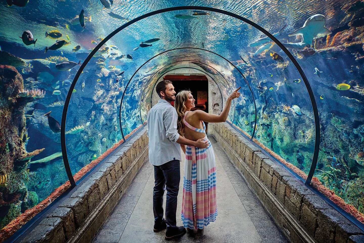 A couple walking through an aquarium tunnel surrounded by water and fish, with the woman pointing at something.