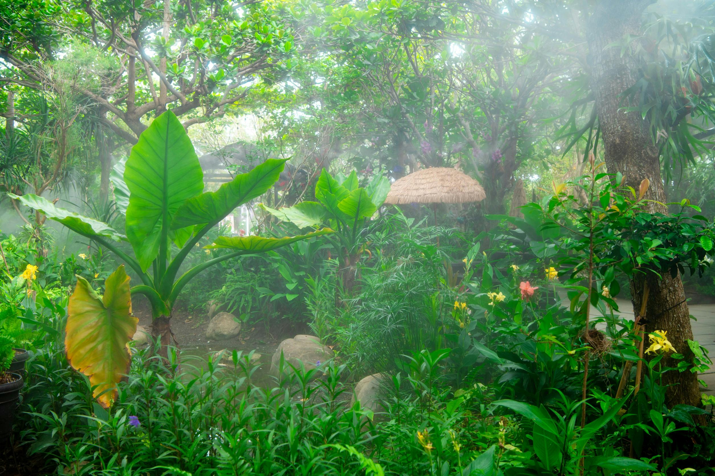 A lush tropical garden with large green leaves, vibrant flowers, rocks, and a small thatched-roof hut surrounded by mist.