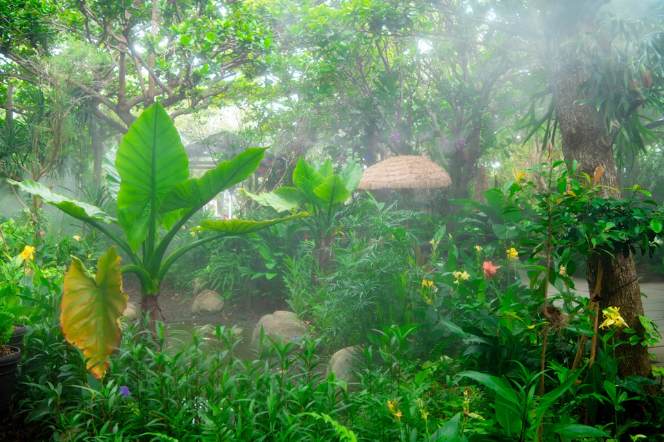 A lush tropical garden with large green leaves, vibrant flowers, rocks, and a small thatched-roof hut surrounded by mist.