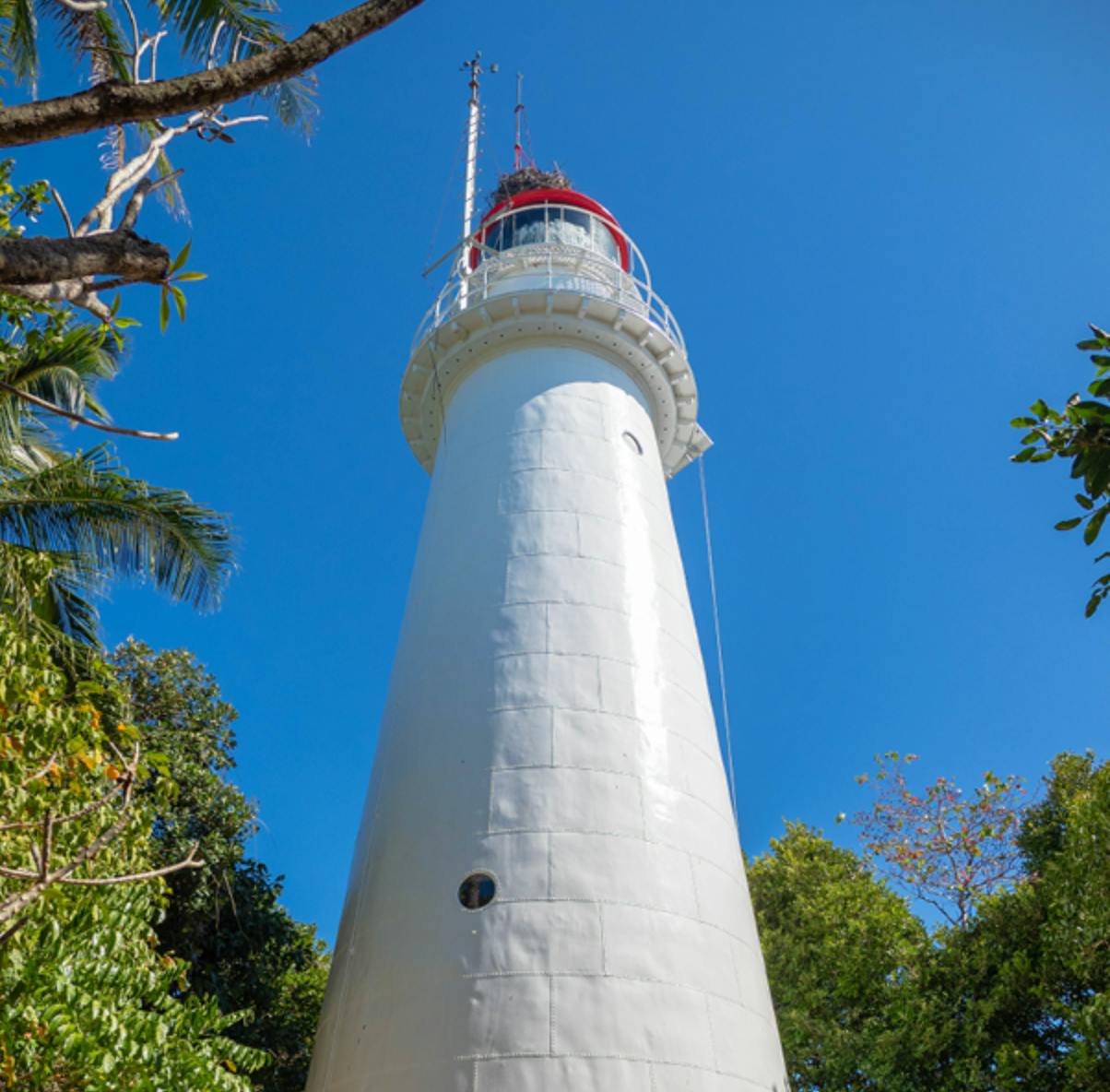 Low Isles: Tour guidato in barca da Port Douglas + Snorkeling + Tè — 5