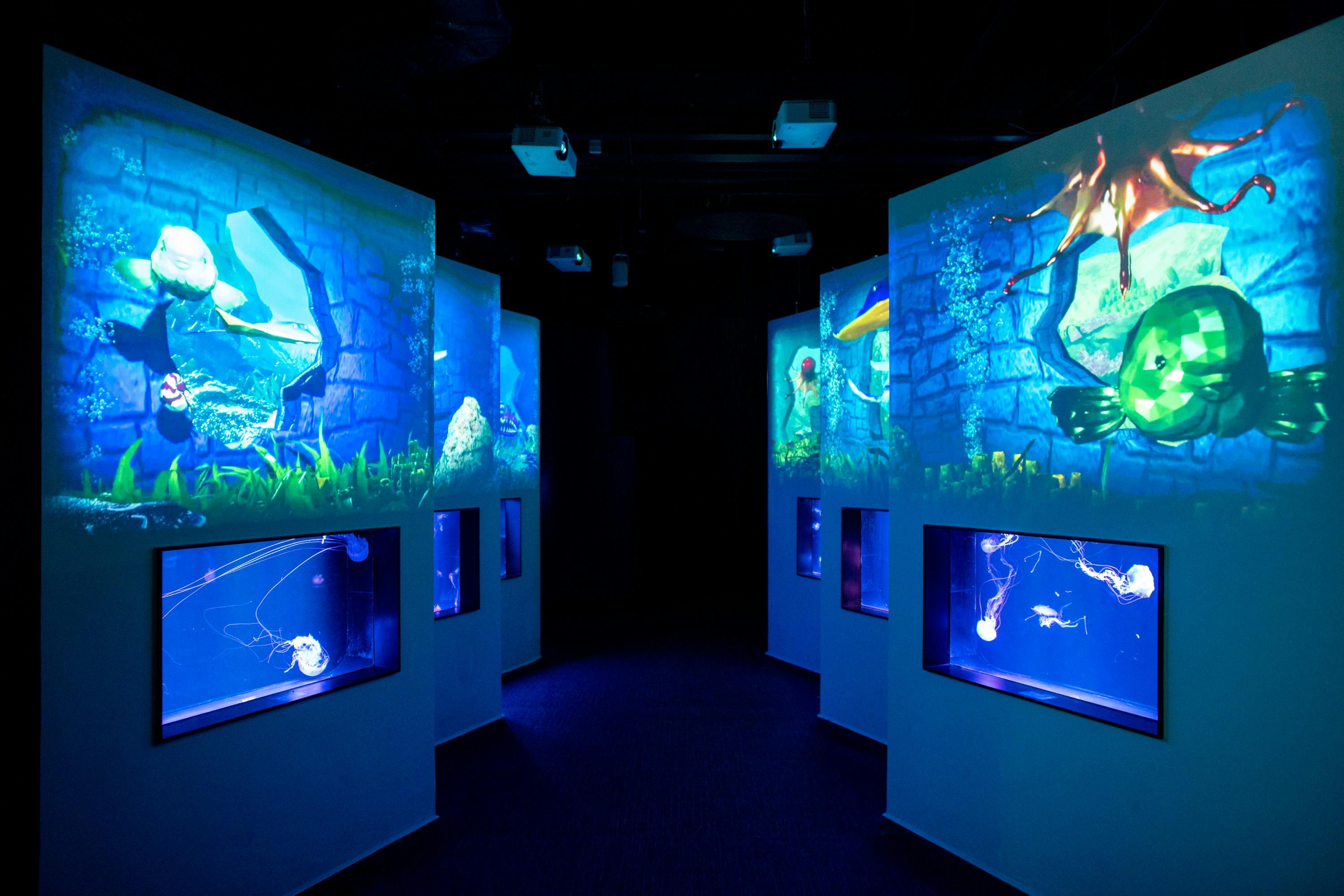 Cube O Discovery Park Hong Kong: Marine Exploration Tour + Science Education Day Pass in Hong Kong – Tiqets