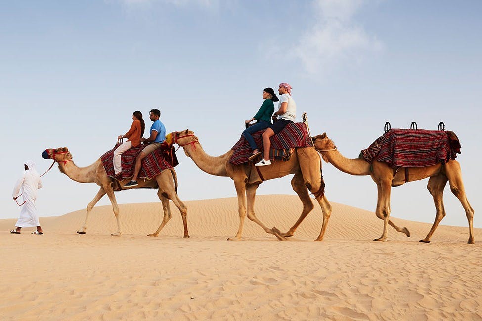 Activitat núm. 7 a <City 60005>: Safari Dubai Platinum Heritage