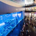 Emaar Entertainment - Dubai Aquarium & Unterwasser : PENGUIN NURSERY EXPERIENCE