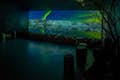 A aurora boreal sobre a Islândia em uma tela de 7 metros de largura em um cinema