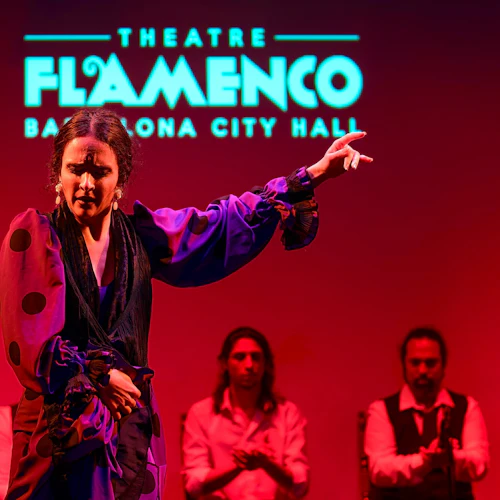 Barcelona City Hall Theater: Flamenco Show - Photo 3