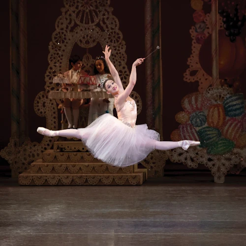 O Quebra-Nozes do Ballet da Cidade de Nova Iorque - Photo 5