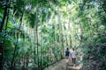 Couple walking in rainforest