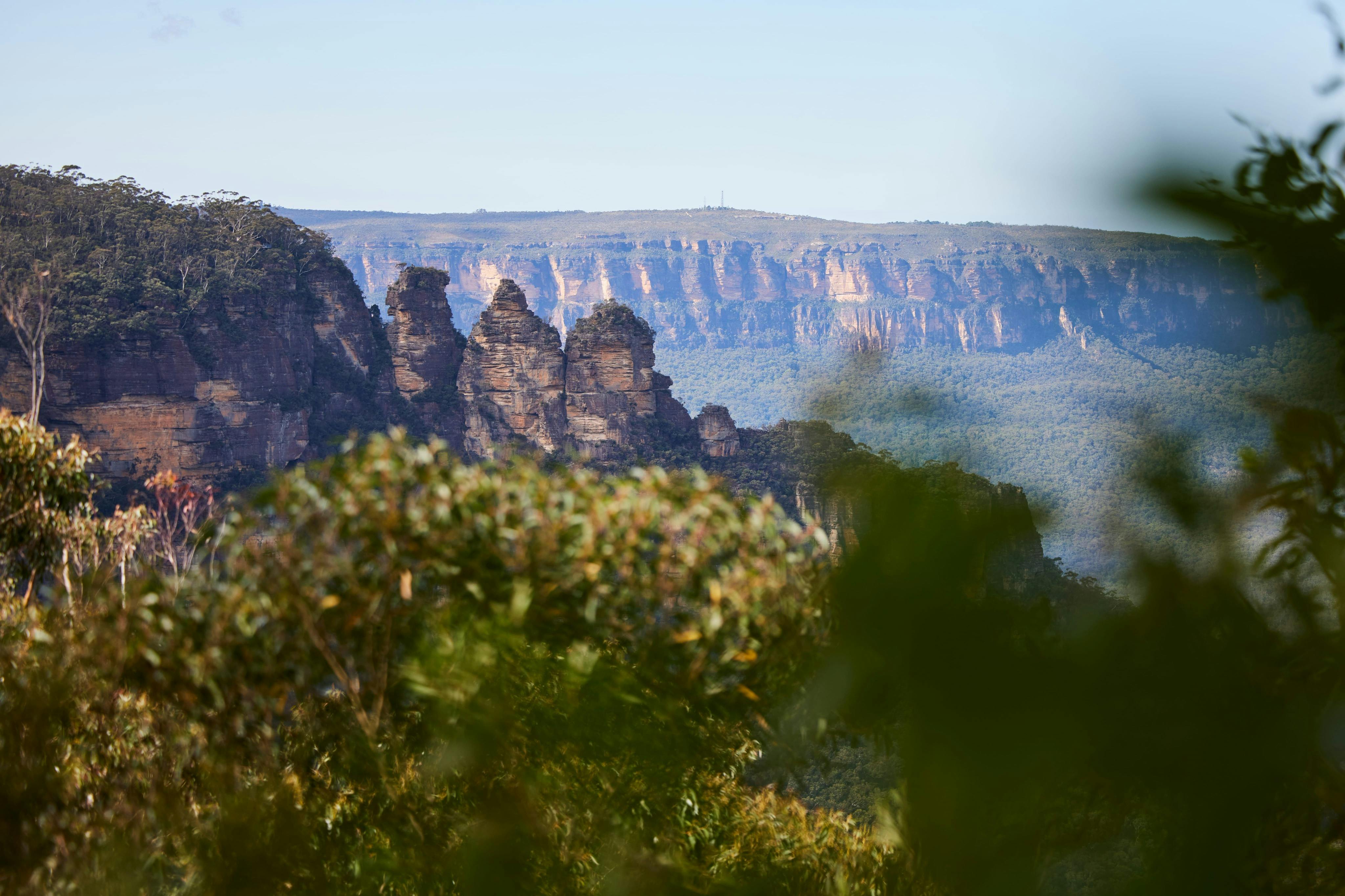 Rock formations among dense greenery with a distant cliff face under a clear blue sky.