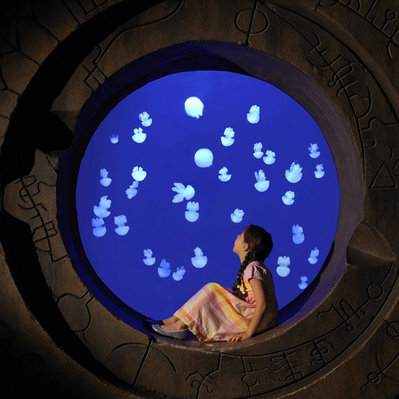 Aquaventure World: Waterpark Day Pass + Lost World Aquarium in Dubai - Image 8