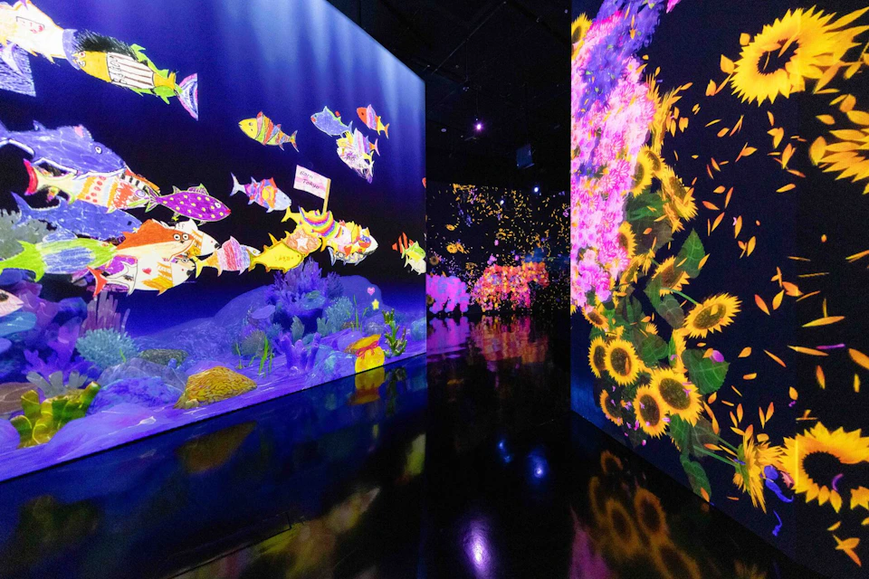 Digital art exhibition with colorful projections of fish, coral, and sunflowers on dark walls and reflective floors.
