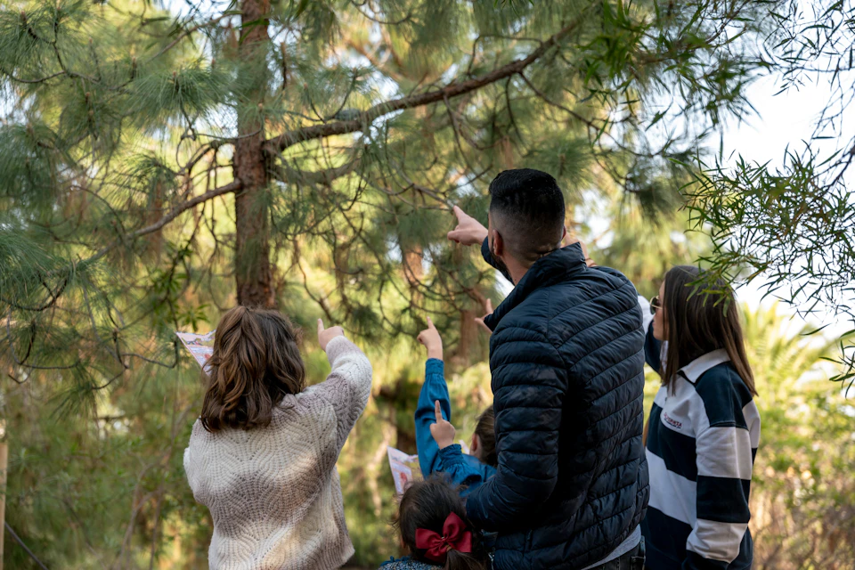 A group of people pointing towards a tree in a forest, with some holding papers, under a sunny sky.