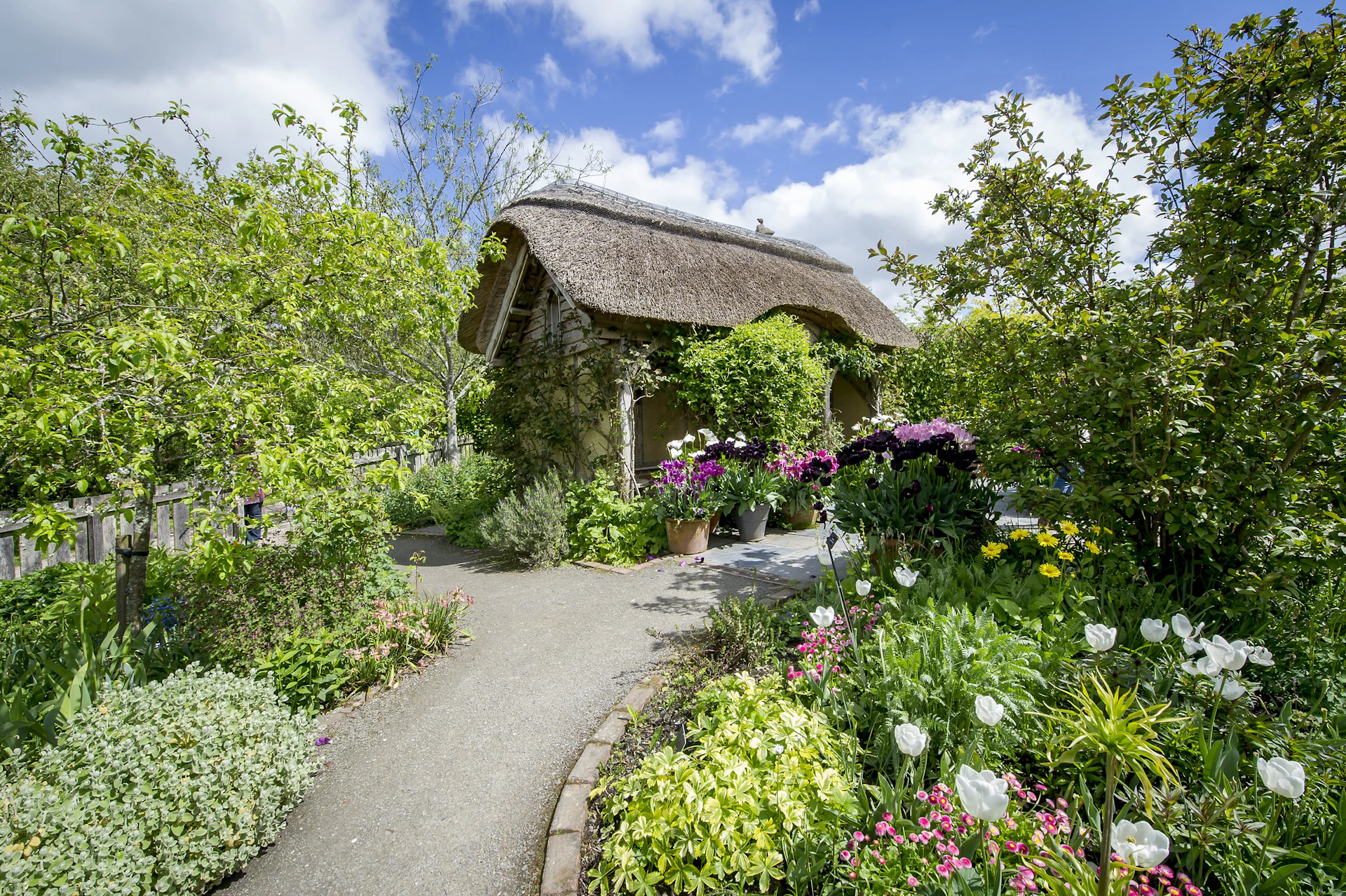 A quaint, thatched-roof cottage surrounded by a lush garden with colorful flowers and a curving path on a sunny day.