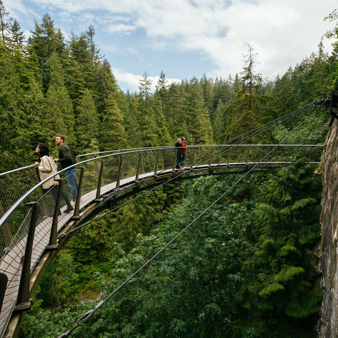 Capilano Suspension Bridge Park: Entry Ticket