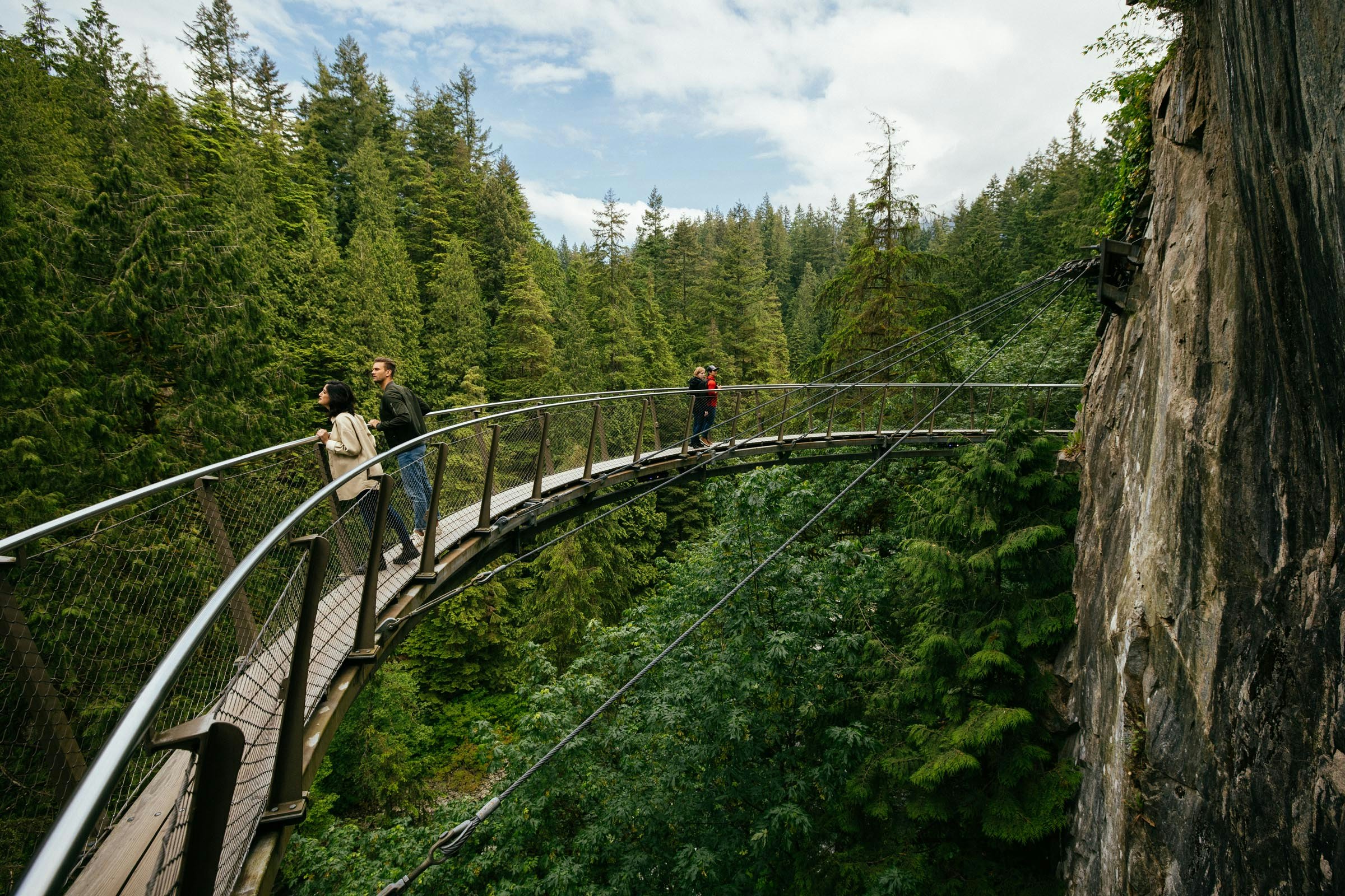 Parque del Puente Colgante de Capilano: Entrada